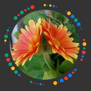 Meet your Posher, Mel